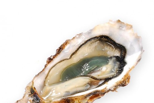 Oesters, Fines de Claire