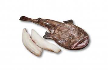 Scholfilet